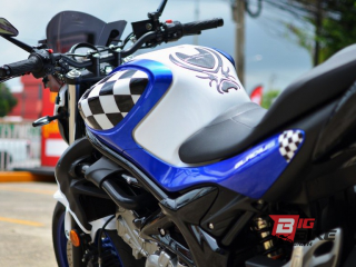  Suzuki Gladius